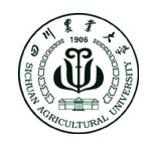 四川农业大学2019年春季网络高等学历教育招生简章